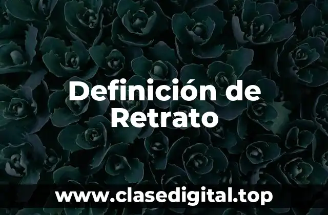 Definición técnica de Retrato