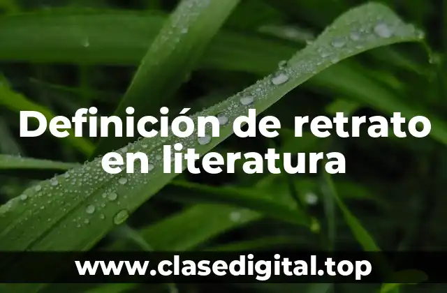 Definición técnica de retrato en literatura