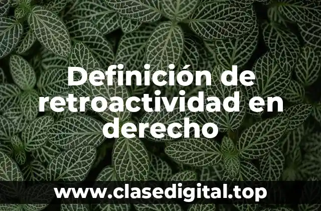 Definición técnica de retroactividad en derecho