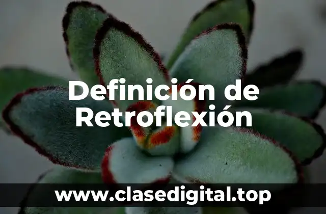 Definición de Retroflexión