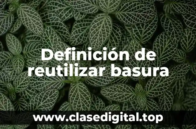 Definición de reutilizar basura