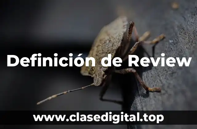 Definición de Review