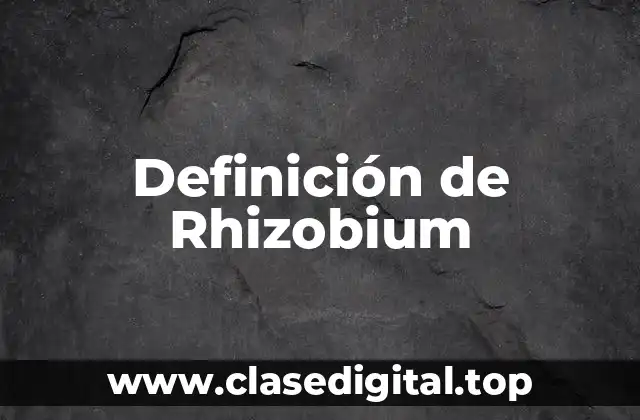 Definición de Rhizobium
