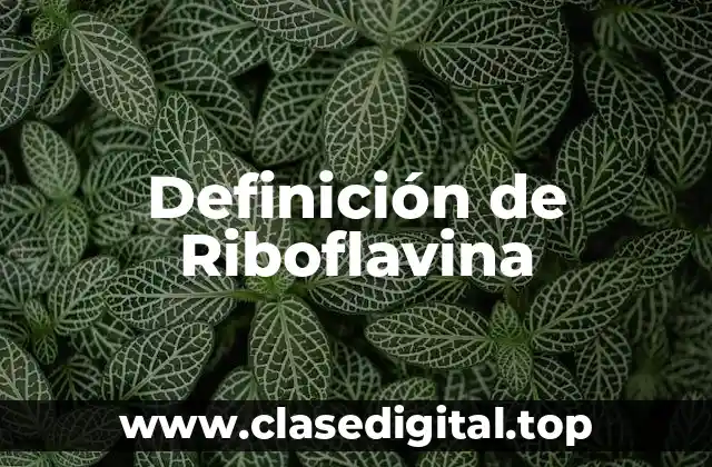 Definición de Riboflavina