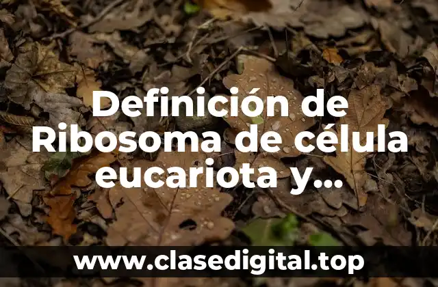 Definición de Ribosoma de célula eucariota y procariota