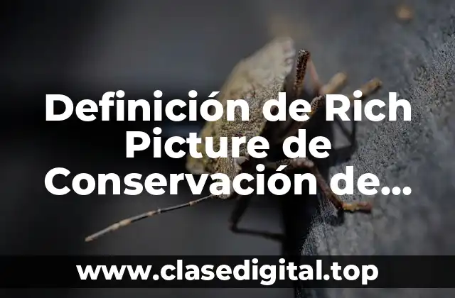 Definición de Rich Picture de Conservación de Frutas Congeladas y Desventajas