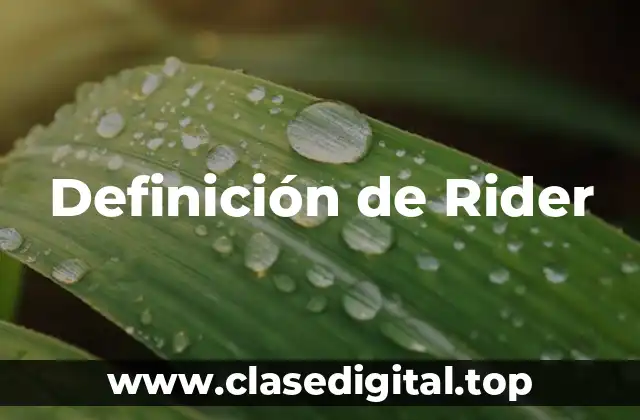 Definición de Rider