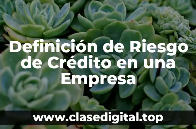 Definición de Riesgo de Crédito en una Empresa