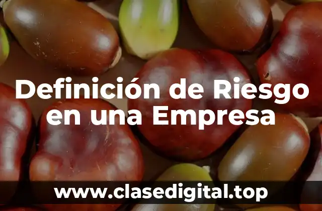 Definición de Riesgo en una Empresa