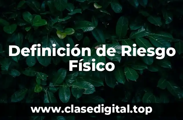 Definición de Riesgo Físico