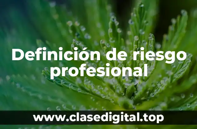 Definición de riesgo profesional