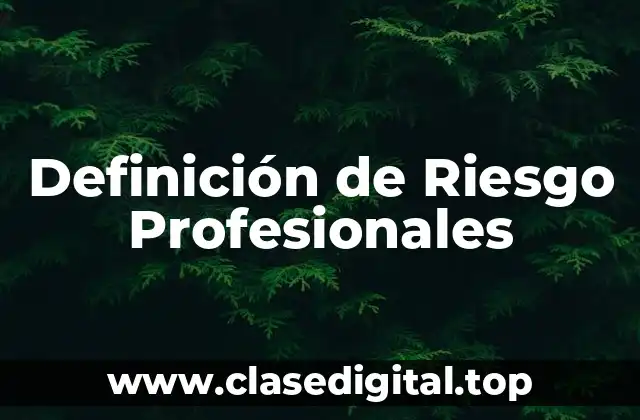 Definición Técnica de Riesgo Profesional