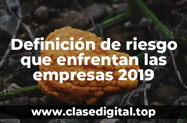 Definición de riesgo que enfrentan las empresas 2019