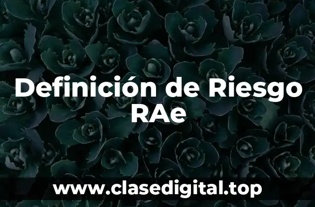 Definición de Riesgo RAe