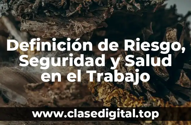 Definición de Riesgo, Seguridad y Salud en el Trabajo