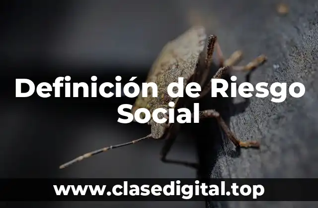 Definición técnica de Riesgo Social