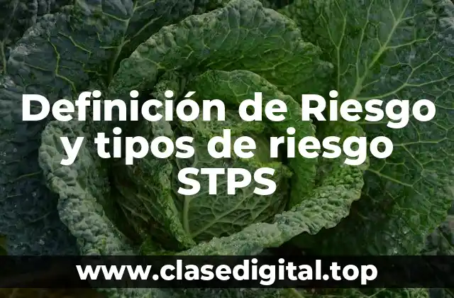 Definición de Riesgo y tipos de riesgo STPS