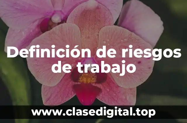 Definición de riesgos de trabajo