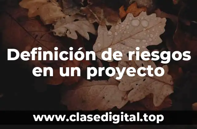 Definición de riesgos en un proyecto
