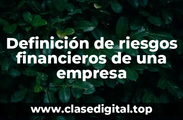 Definición de riesgos financieros de una empresa