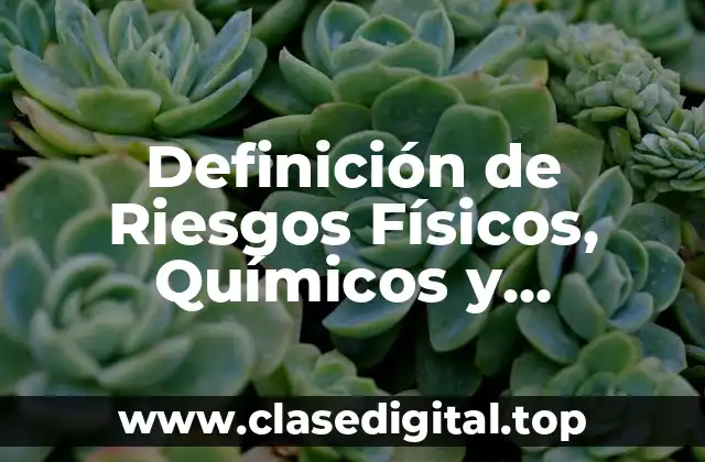 Definición de Riesgos Físicos, Químicos y Biológicos