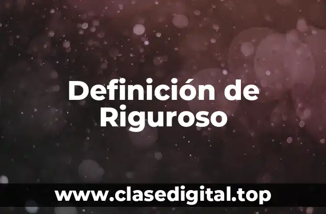 Definición de Riguroso
