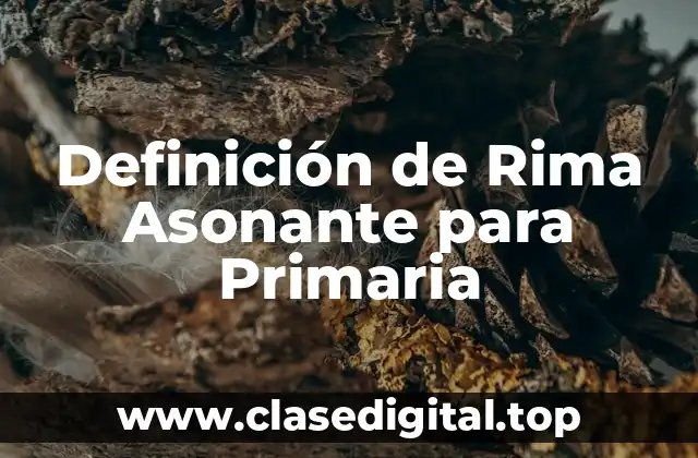 Definición de Rima Asonante para Primaria