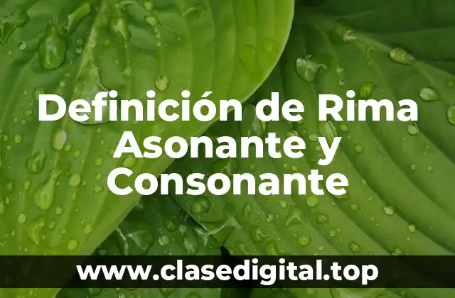 Definición de Rima Asonante y Consonante