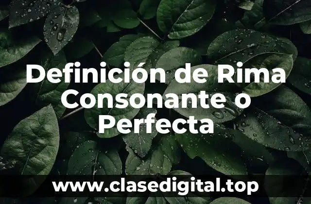 Definición de Rima Consonante o Perfecta