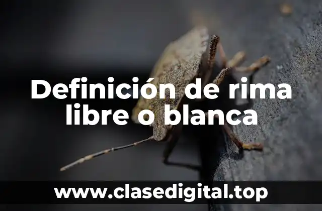 Definición de rima libre o blanca