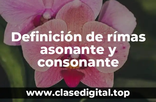 Definición de rímas asonante y consonante
