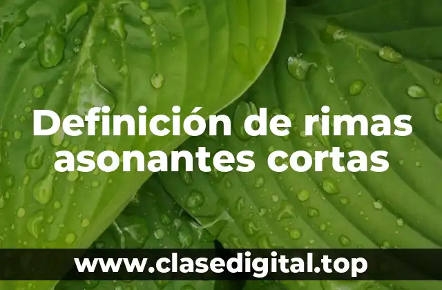 Definición de rimas asonantes cortas