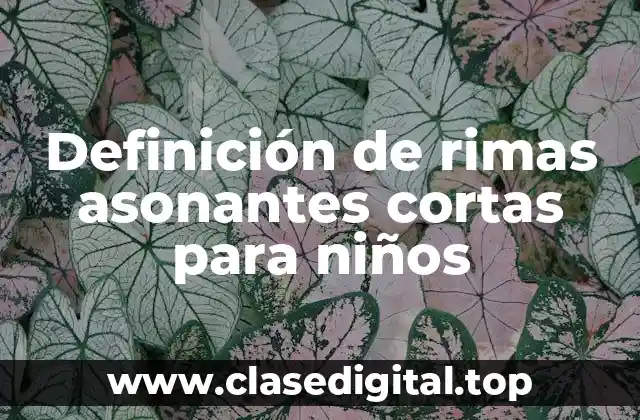 Definición de rimas asonantes cortas para niños