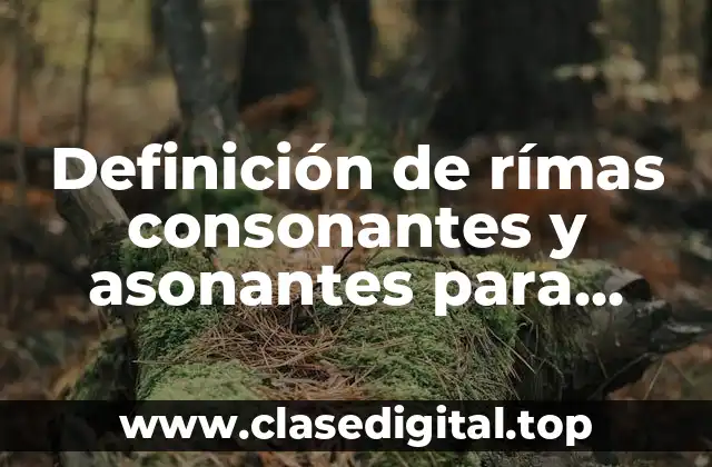 Definición de rímas consonantes y asonantes para niños