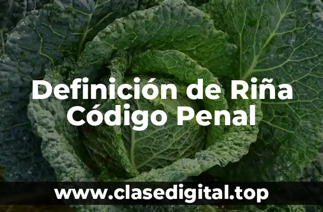 Definición de Riña Código Penal