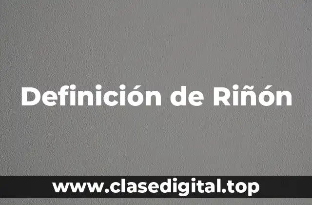 Definición de Riñón