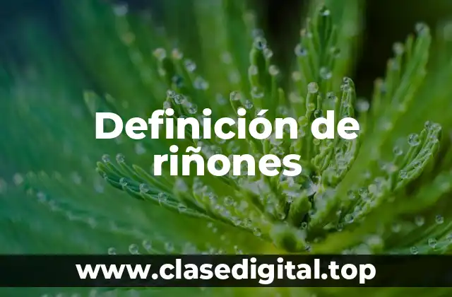 Definición de riñones