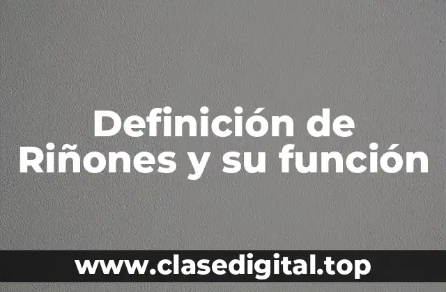 Definición técnica de Riñones