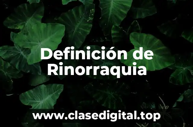Definición de Rinorraquia