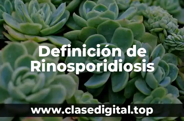 Definición de Rinosporidiosis