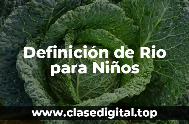 Definición de Rio para Niños