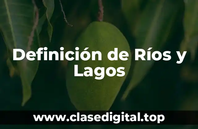 Definición Técnica de Ríos y Lagos