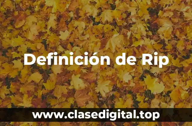 Definición de Rip
