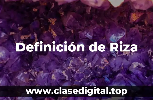 Definición de Riza