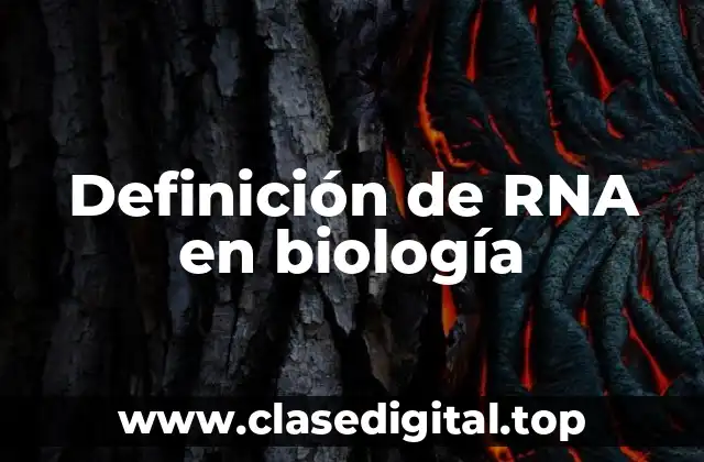 Definición de RNA en biología