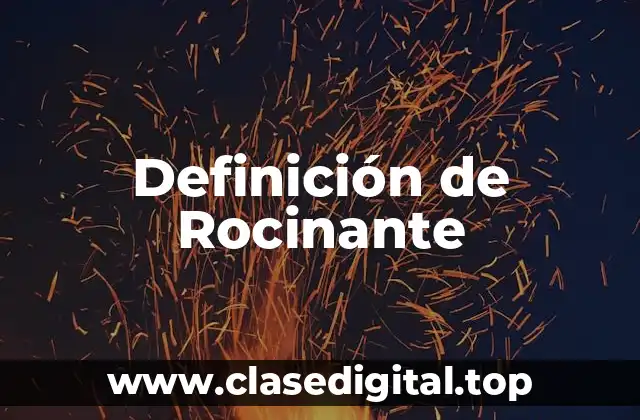 Definición de Rocinante
