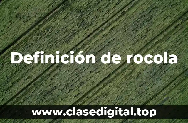 Definición de rocola