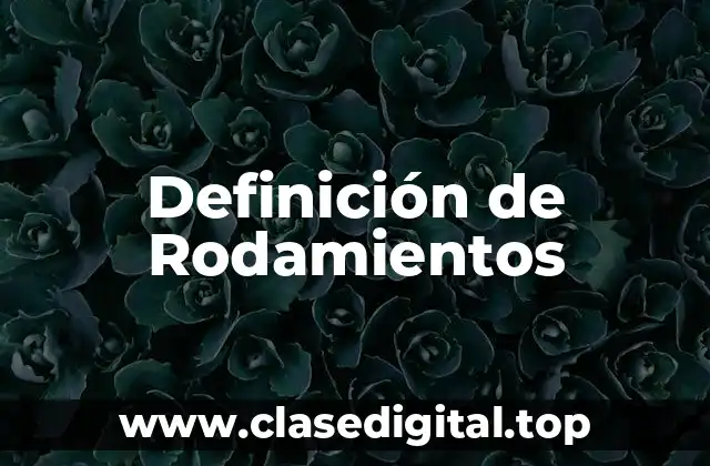 Definición técnica de Rodamiento