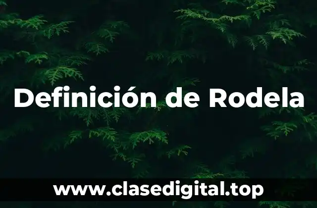Definición de Rodela