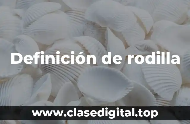Definición de rodilla